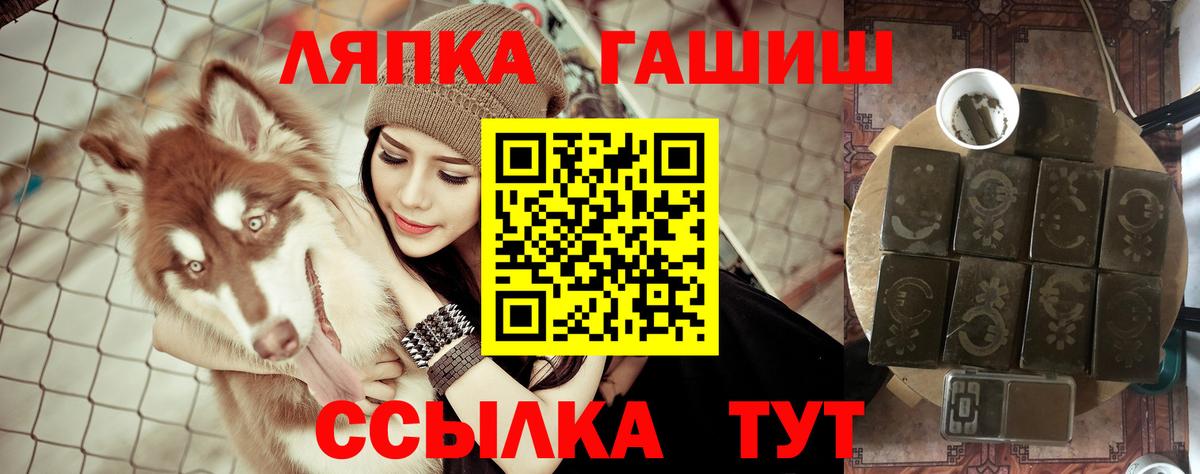 ГАШ VHQ Новокубанск