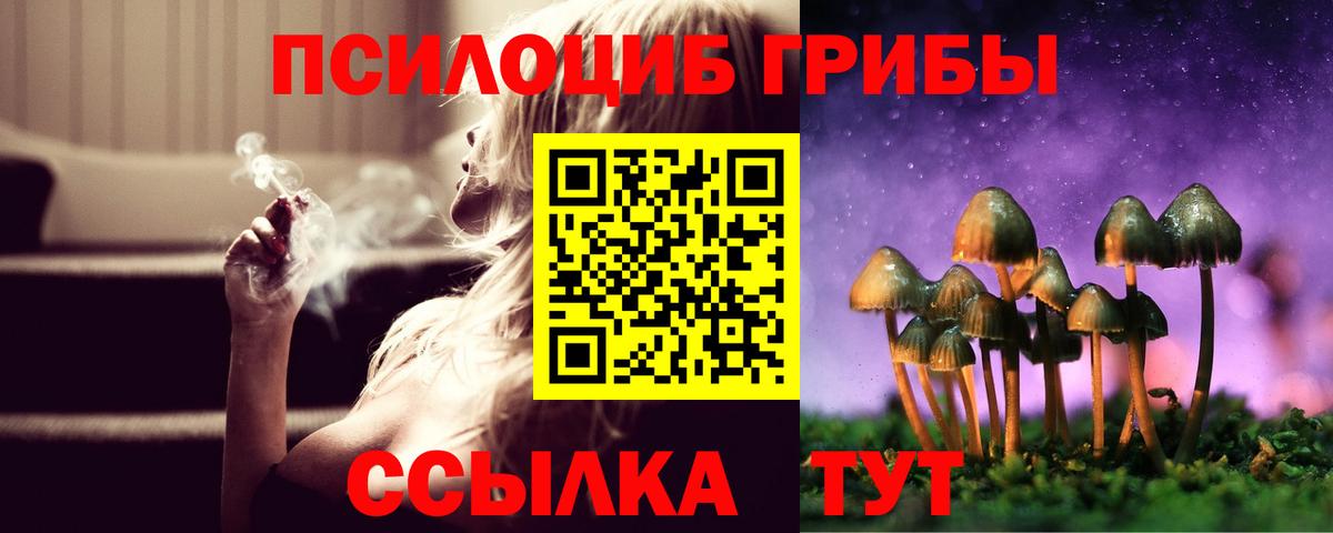 Галлюциногенные грибы мухоморы  Вход с VPN  Псилоцибиновые грибы Cubensis  Новокубанск 